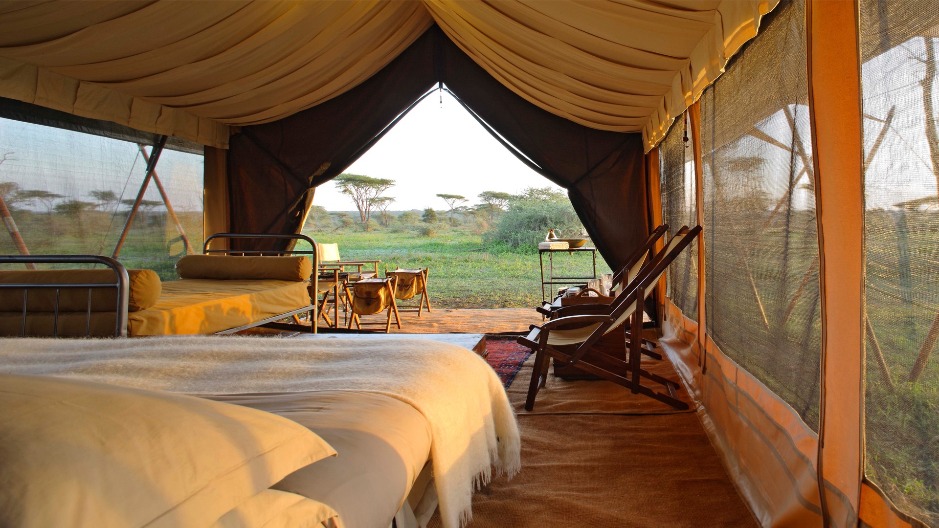 Luxury Safari Experience